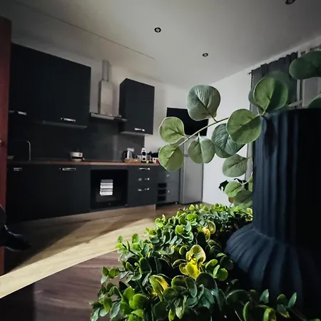 Location San Pietro Appartamento