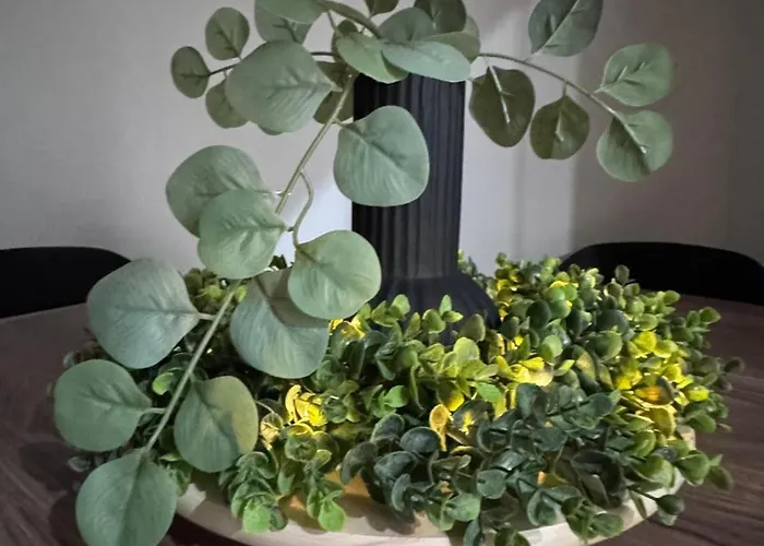 Location San Pietro * Rome